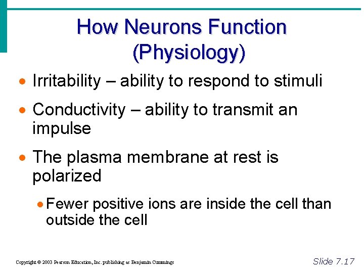 How Neurons Function (Physiology) · Irritability – ability to respond to stimuli · Conductivity