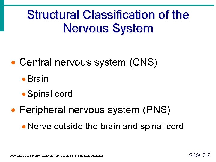 Structural Classification of the Nervous System · Central nervous system (CNS) · Brain ·