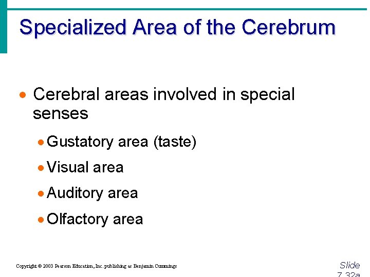 Specialized Area of the Cerebrum · Cerebral areas involved in special senses · Gustatory