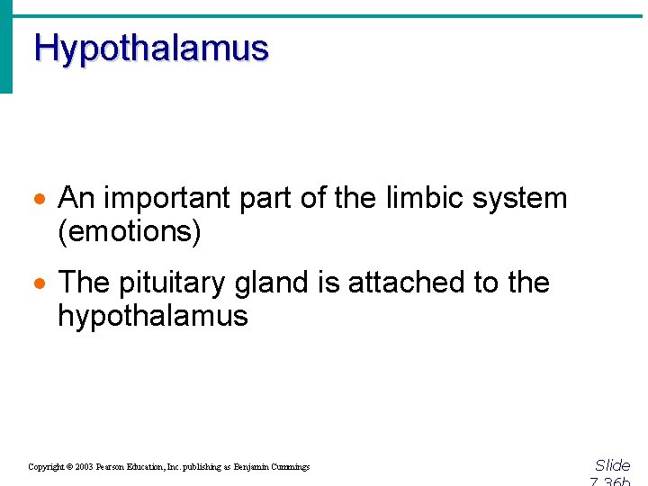 Hypothalamus · An important part of the limbic system (emotions) · The pituitary gland