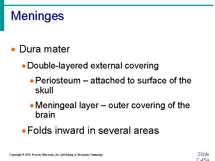 Meninges · Dura mater · Double-layered external covering · Periosteum – attached to surface