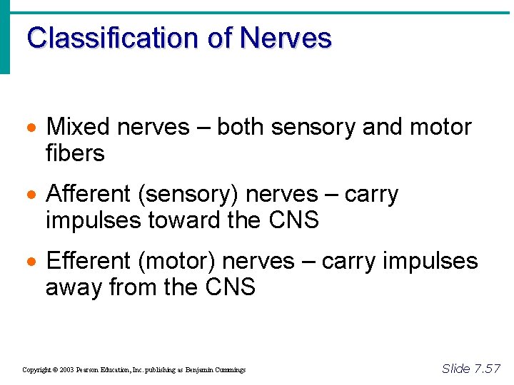 Classification of Nerves · Mixed nerves – both sensory and motor fibers · Afferent
