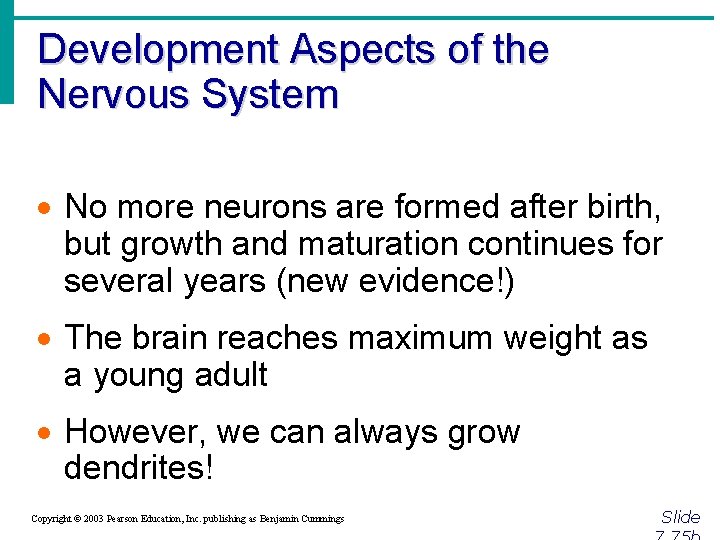 Development Aspects of the Nervous System · No more neurons are formed after birth,