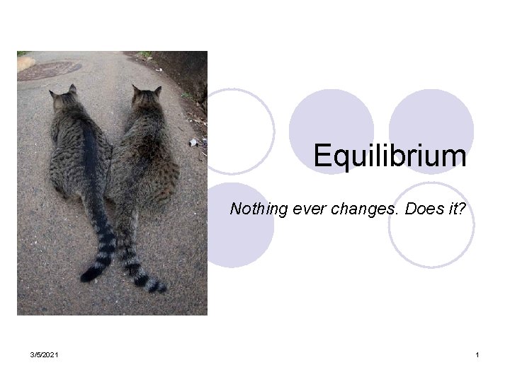 Equilibrium Nothing ever changes. Does it? 3/5/2021 1 