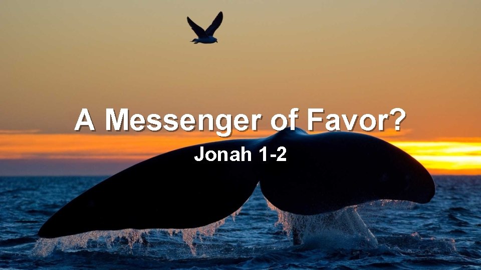 A Messenger of Favor? Jonah 1 -2 