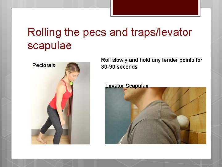 Rolling the pecs and traps/levator scapulae Pectorals Roll slowly and hold any tender points