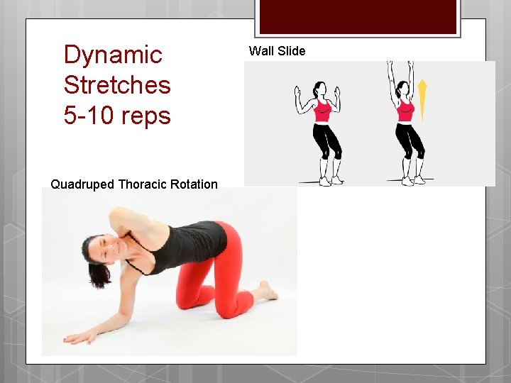 Dynamic Stretches 5 -10 reps Quadruped Thoracic Rotation Wall Slide 