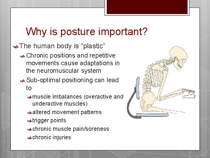 Why is posture important? The human body is “plastic” Chronic positions and repetitive movements