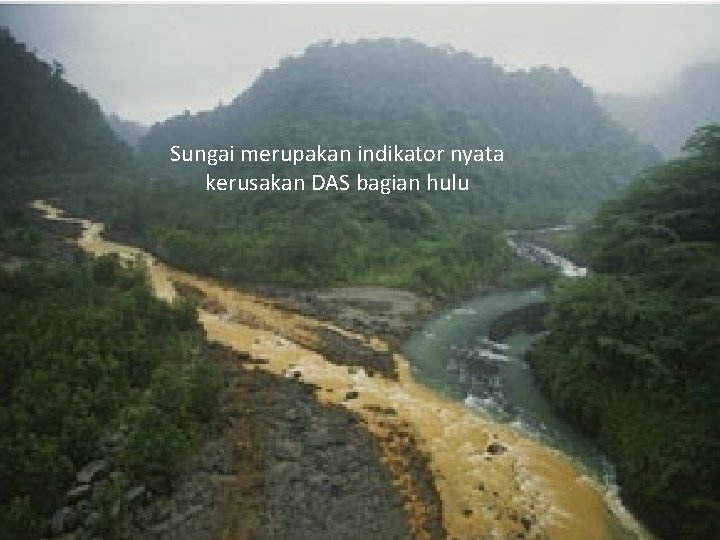 Sungai merupakan indikator nyata kerusakan DAS bagian hulu 