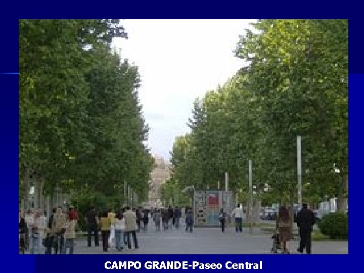CAMPO GRANDE-Paseo Central 