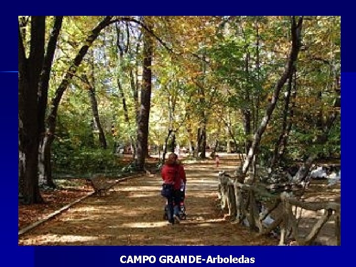 CAMPO GRANDE-Arboledas 