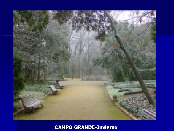 CAMPO GRANDE-Invierno 