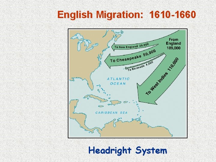 English Migration: 1610 -1660 Headright System 