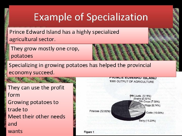 Example of Specialization Prince Edward Island has a highly specialized agricultural sector. They grow