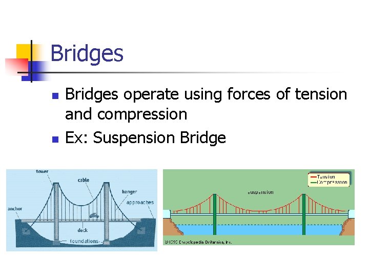 Bridges n n Bridges operate using forces of tension and compression Ex: Suspension Bridge