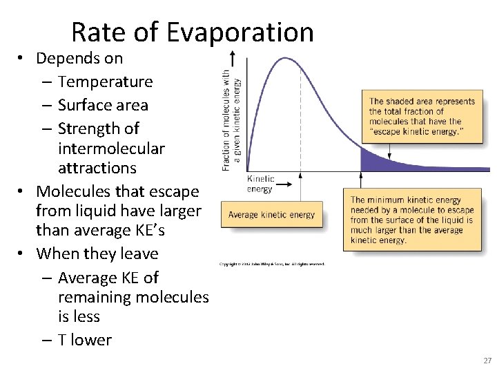 Rate of Evaporation • Depends on – Temperature – Surface area – Strength of