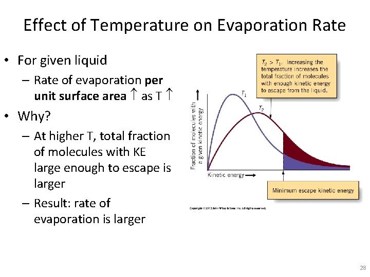 Effect of Temperature on Evaporation Rate • For given liquid – Rate of evaporation