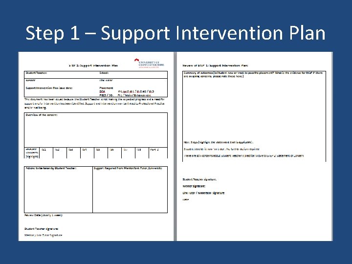 Step 1 – Support Intervention Plan 