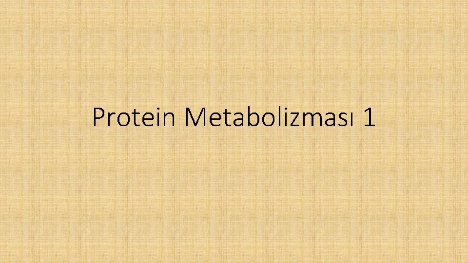 Protein Metabolizması 1 