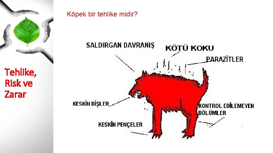 Köpek bir tehlike midir? Tehlike, Risk ve Zarar 