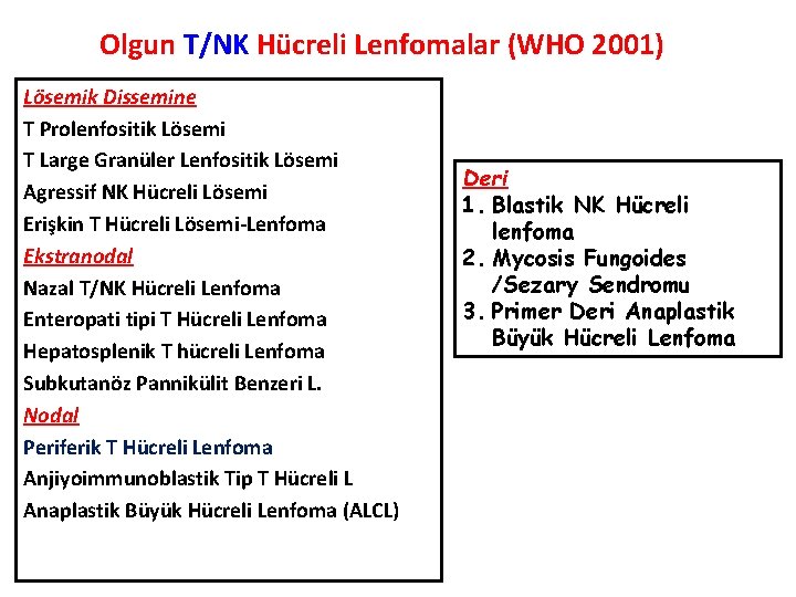 Olgun T/NK Hücreli Lenfomalar (WHO 2001) Lösemik Dissemine T Prolenfositik Lösemi T Large Granüler