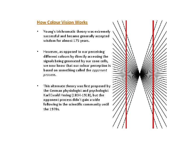 How Colour Vision Works • Young's trichromatic theory was extremely successful and became generally