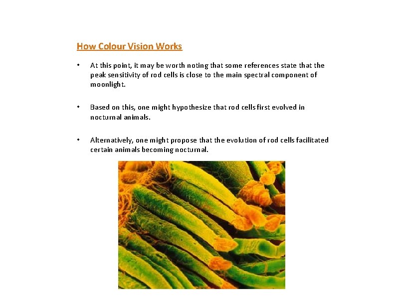 How Colour Vision Works • At this point, it may be worth noting that