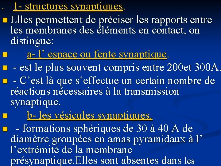 1 - structures synaptiques. n Elles permettent de préciser les rapports entre les membranes