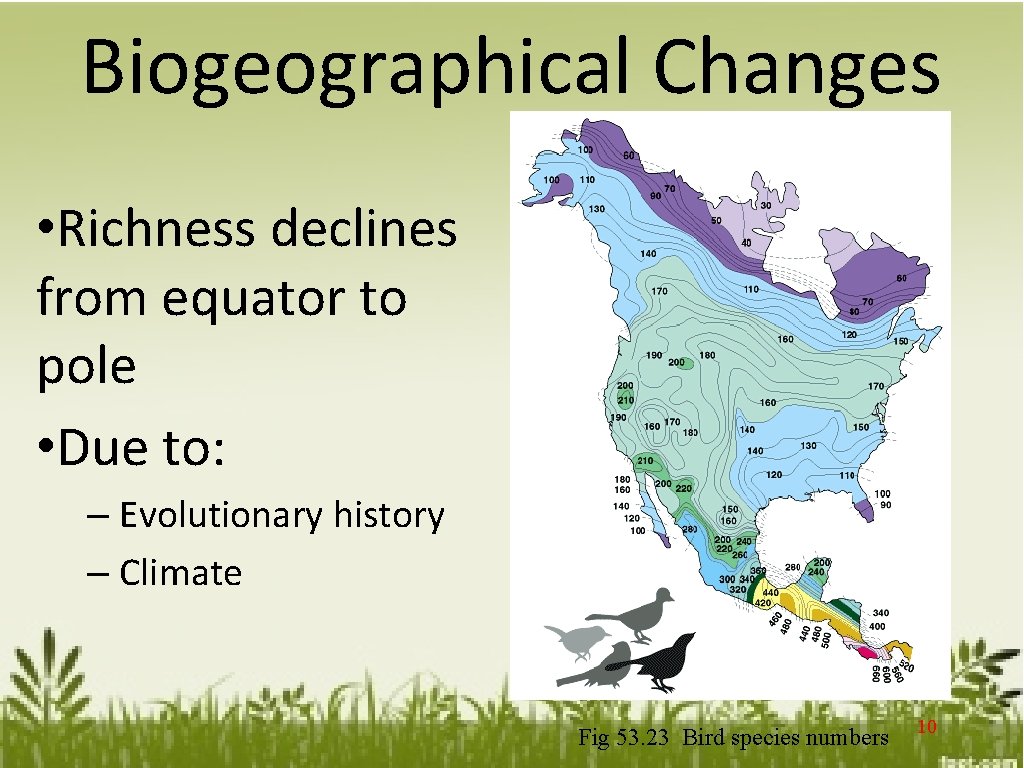 Biogeographical Changes • Richness declines from equator to pole • Due to: – Evolutionary