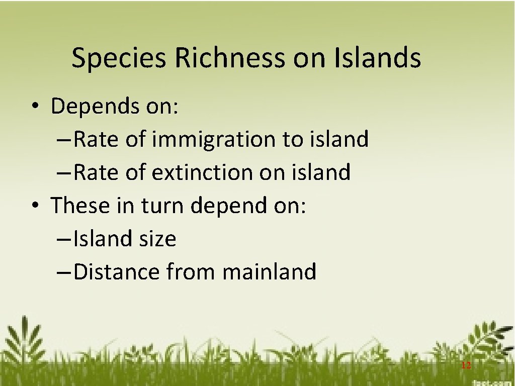 Species Richness on Islands • Depends on: – Rate of immigration to island –