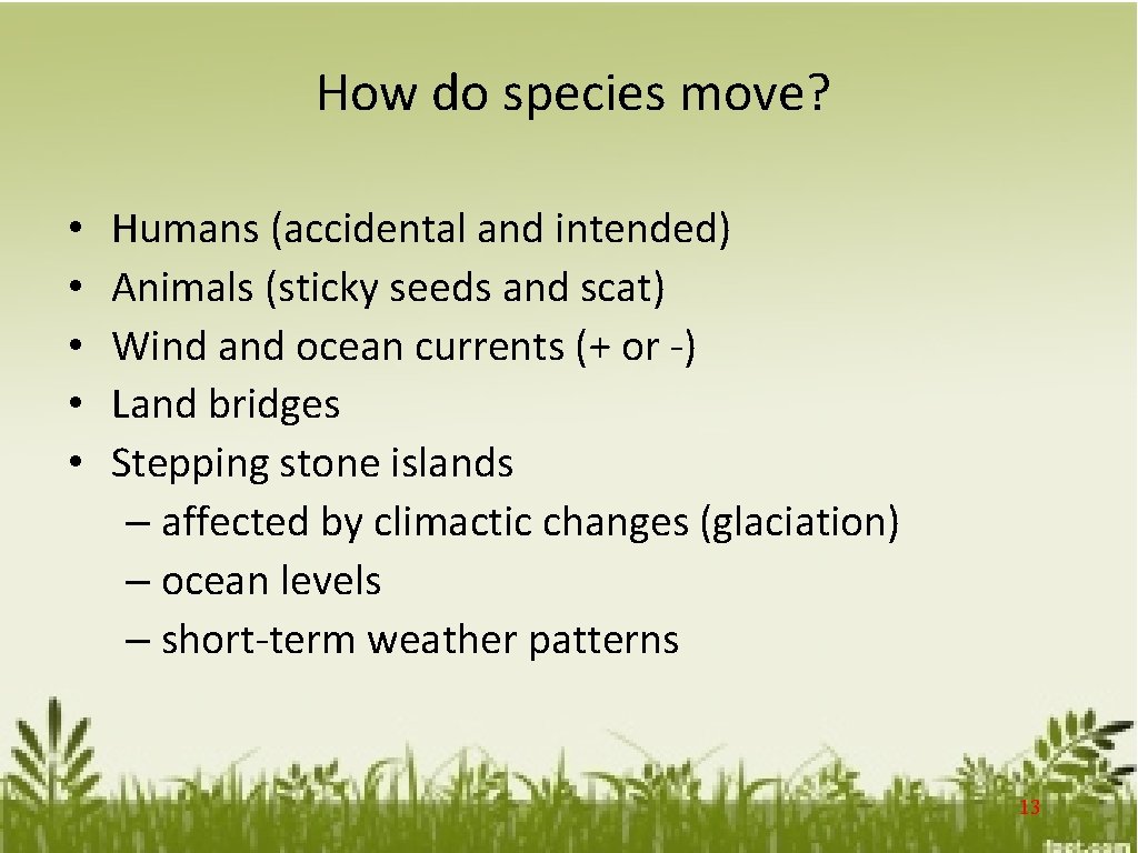 How do species move? • • • Humans (accidental and intended) Animals (sticky seeds