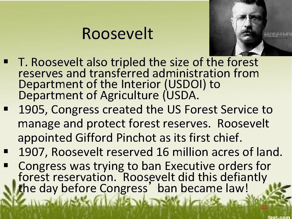 Roosevelt § T. Roosevelt also tripled the size of the forest reserves and transferred