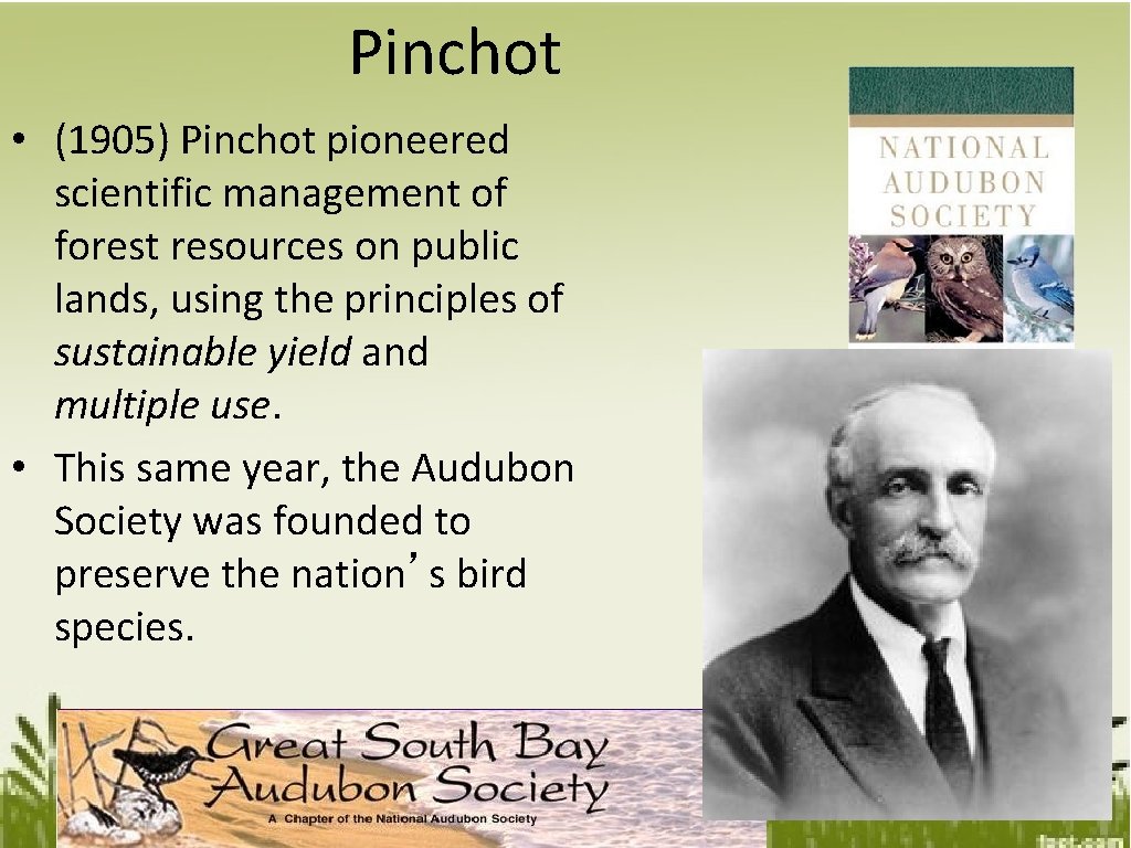 Pinchot • (1905) Pinchot pioneered scientific management of forest resources on public lands, using