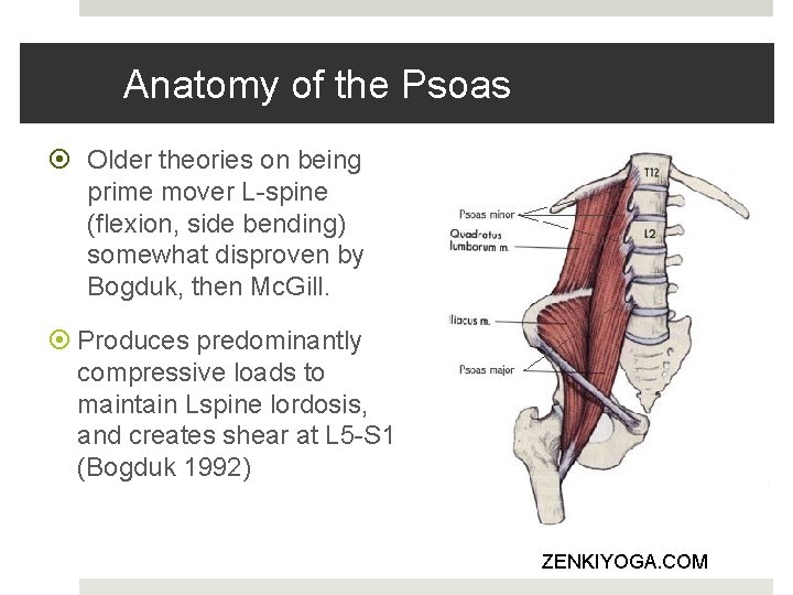 Anatomy of the Psoas Older theories on being prime mover L-spine (flexion, side bending) Anatomy of the Psoas Older theories on being prime mover L-spine (flexion, side bending)