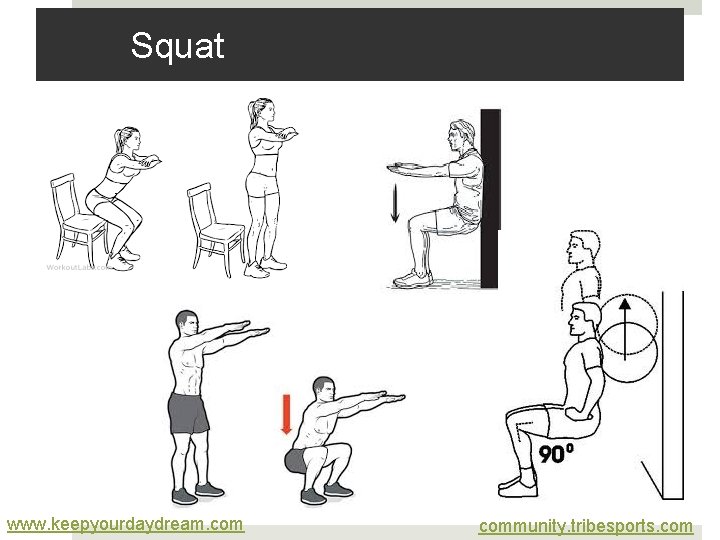 Squat www. keepyourdaydream. community. tribesports. com Squat www. keepyourdaydream. community. tribesports. com