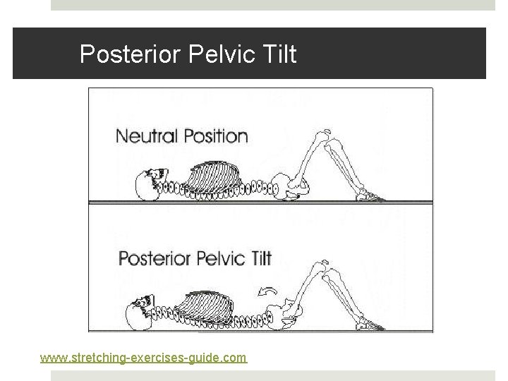 Posterior Pelvic Tilt www. stretching-exercises-guide. com Posterior Pelvic Tilt www. stretching-exercises-guide. com