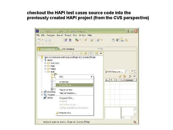 checkout the HAPI test cases source code into the previously created HAPI project (from