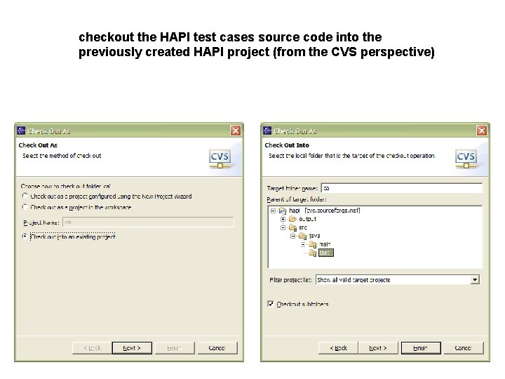 checkout the HAPI test cases source code into the previously created HAPI project (from