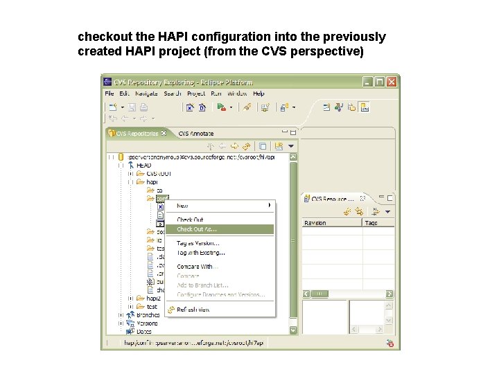 checkout the HAPI configuration into the previously created HAPI project (from the CVS perspective)