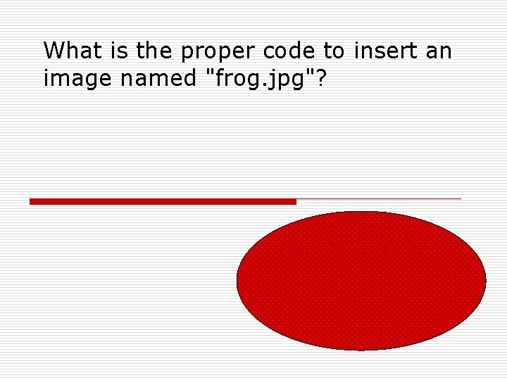 What is the proper code to insert an image named "frog. jpg"? <img src="frog.