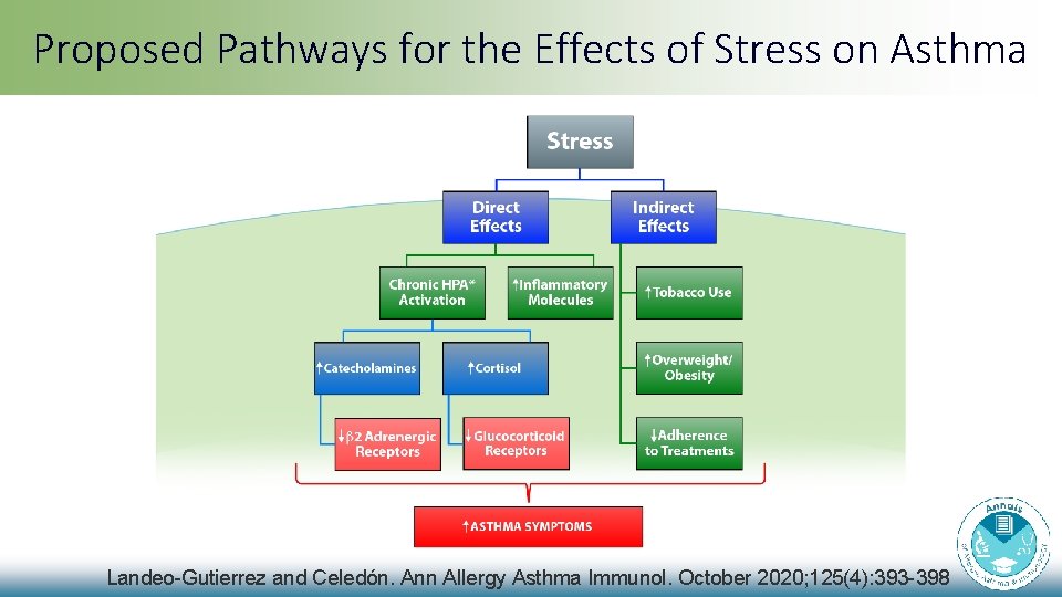Proposed Pathways for the Effects of Stress on Asthma Landeo-Gutierrez and Celedón. Ann Allergy Proposed Pathways for the Effects of Stress on Asthma Landeo-Gutierrez and Celedón. Ann Allergy