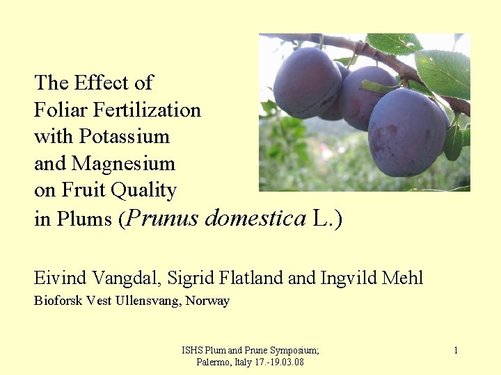 The Effect of Foliar Fertilization with Potassium and