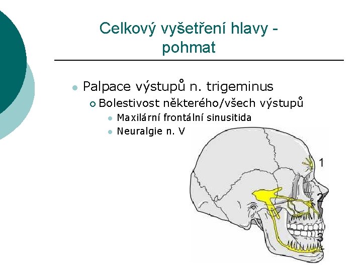 Celkový vyšetření hlavy - pohmat l Palpace výstupů n. trigeminus ¡ Bolestivost některého/všech výstupů