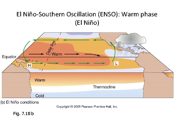 El Niño-Southern Oscillation (ENSO): Warm phase (El Niño) Fig. 7. 18 b 