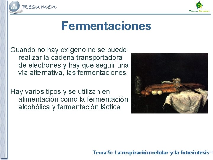 Fermentaciones Cuando no hay oxígeno no se puede realizar la cadena transportadora de electrones