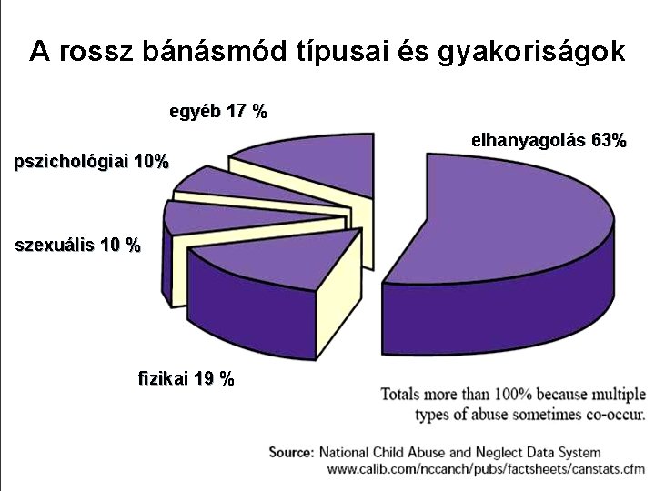 A rossz bánásmód típusai és gyakoriságok egyéb 17 % elhanyagolás 63% pszichológiai 10% szexuális