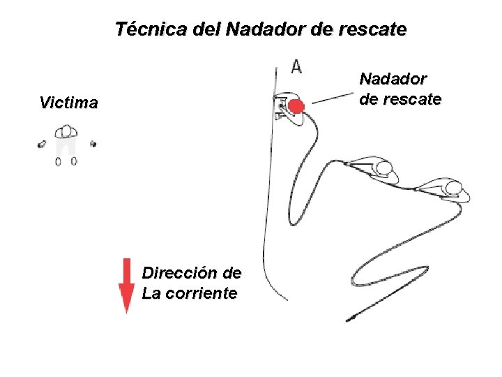 Técnica del Nadador de rescate Victima Dirección de La corriente Técnica del Nadador de rescate Victima Dirección de La corriente