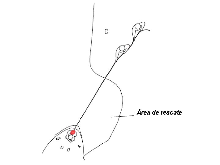 Área de rescate Área de rescate
