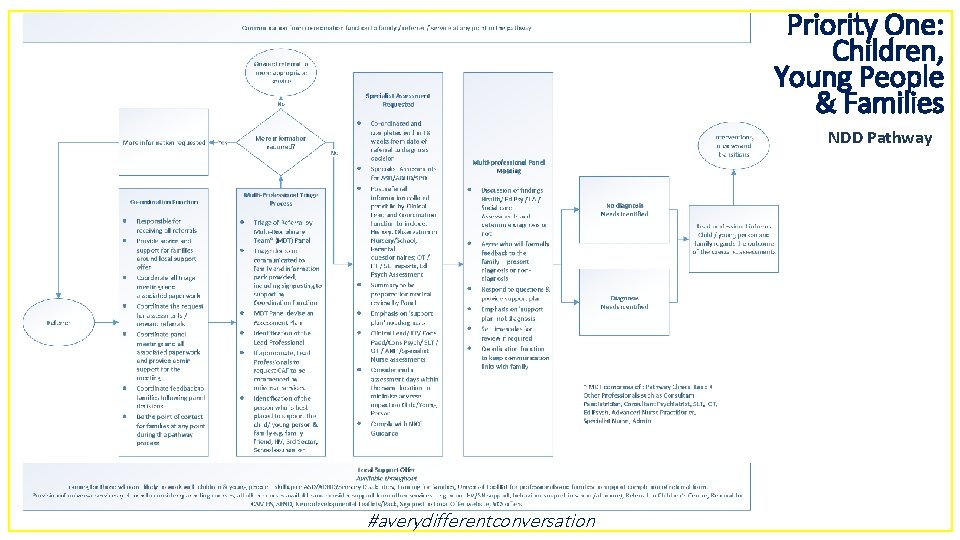 Priority One: Children, Young People & Families NDD Pathway #averydifferentconversation 