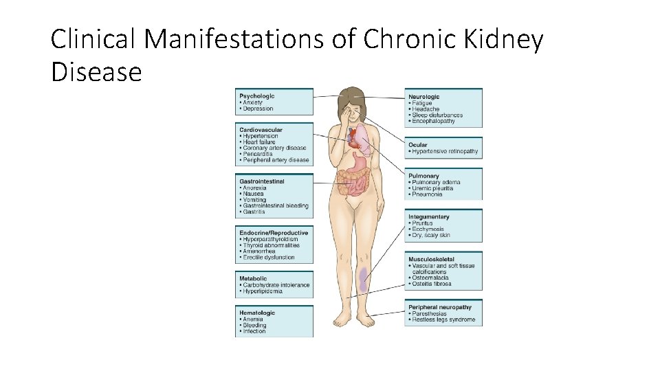 Clinical Manifestations of Chronic Kidney Disease 